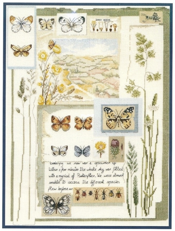 DMC BK 278 OK Butterfly Sampler.jpg