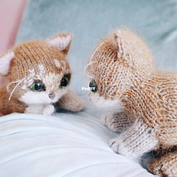 Itty Bitty Kitty