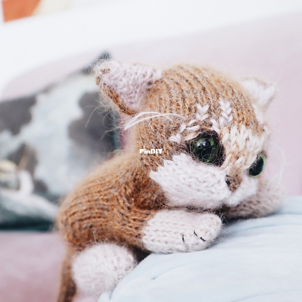 Itty Bitty Kitty