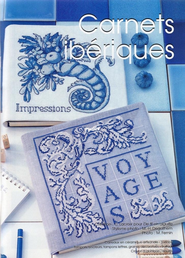 HS DFEA Tout Bleu p39.jpg