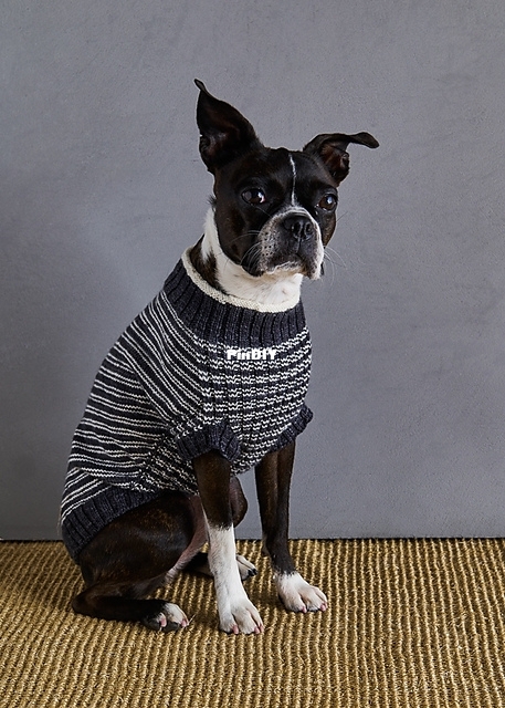 Pinstripe Dog Sweater 2.jpeg