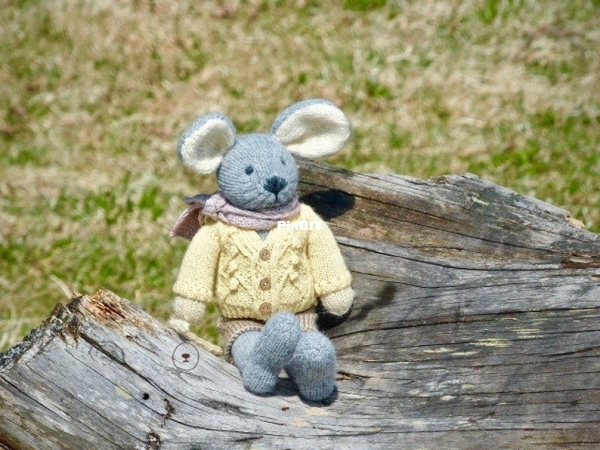 Alexprettytoys - Elena Alexeeva - Mouse Theo.jpg