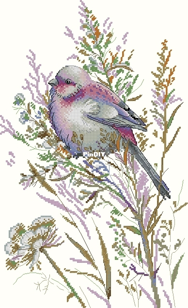 M.P. Studia HB 718 OK XXX.JPG
