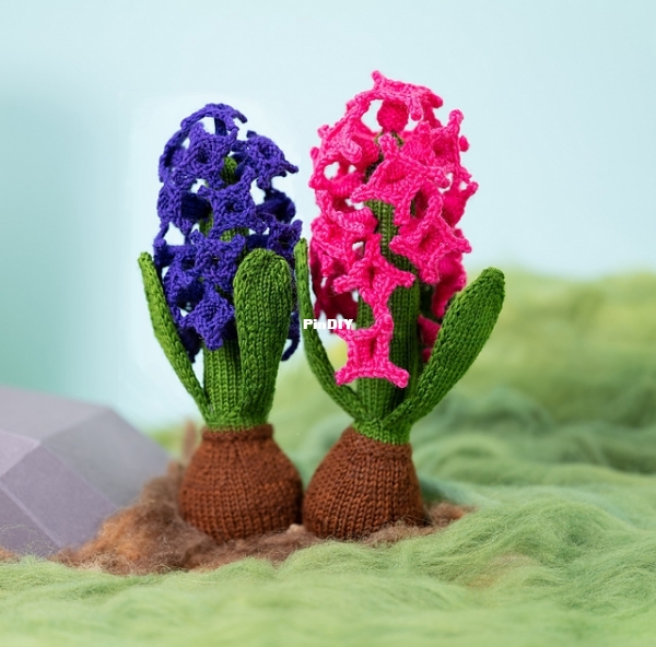 Hyacinth