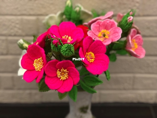rugosa5_medium2.jpg
