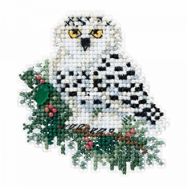 Snowy Owlet