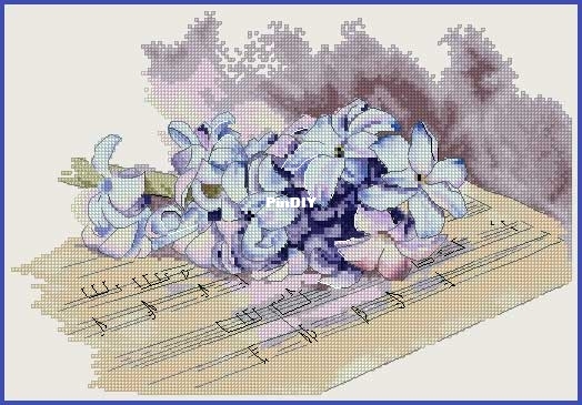 Blue_Jacinth_Anna_Smith.jpg