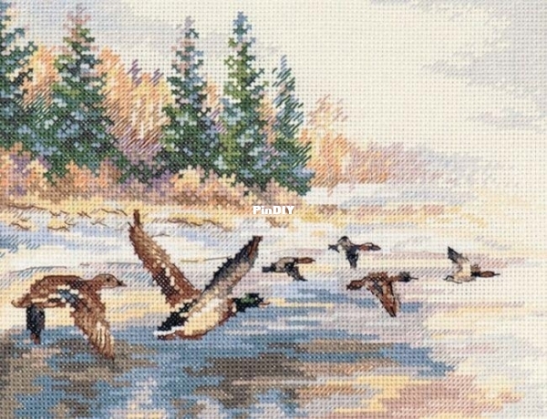 Alisa 3-27 OK Ducks Fly - DMC.jpg