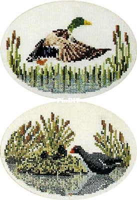 NewStitches2_fowl.jpg
