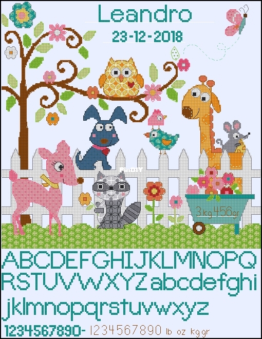 73733 Happi Backyard Birth-DIM.jpg
