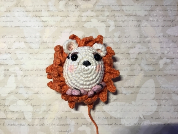 Hedgy2.jpeg