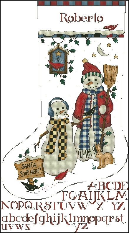 8543 Snow Friends Stocking-DMC.jpg