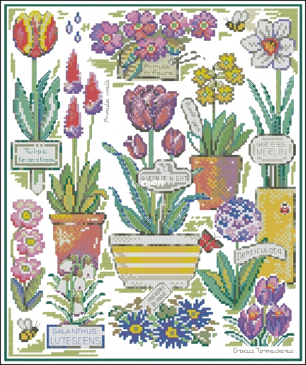 Botanica Whimsy - Floral Sampler.jpg
