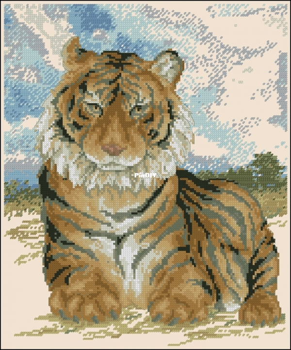 Out of Africa - Magnificent Tiger.jpg
