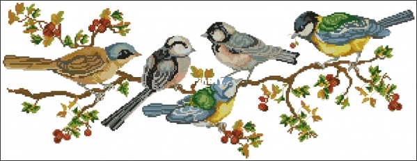Anchor PCE705 - Birds.jpg