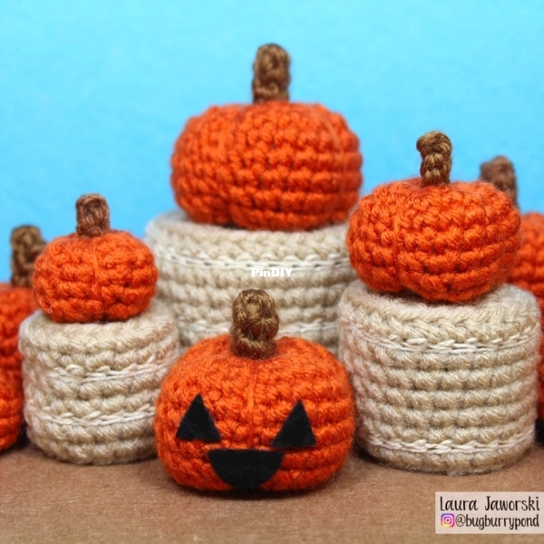 Bugburrypond - Laura Jaworski - Mini Pumpkin Patch.jpg