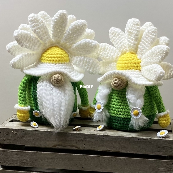  Daisy Gnome