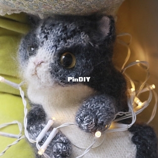 A cute kitty