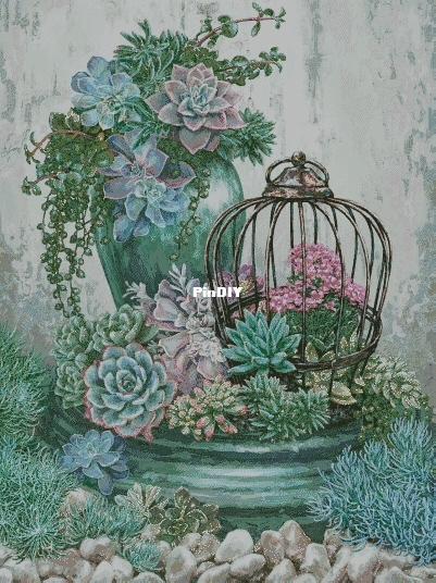 Ilyina Nadezhda - Golden Rose OK Succulents XXX.JPG