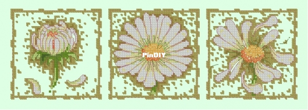 Anchor PCE7001 OK XXX.JPG