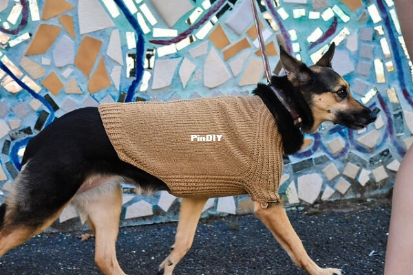 ursa 10.jpeg