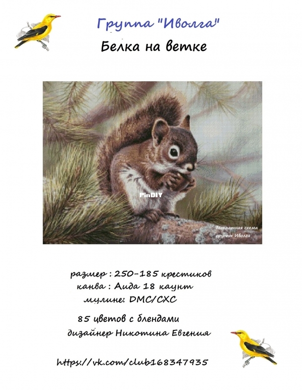 Belka_Na_Vetke.jpg