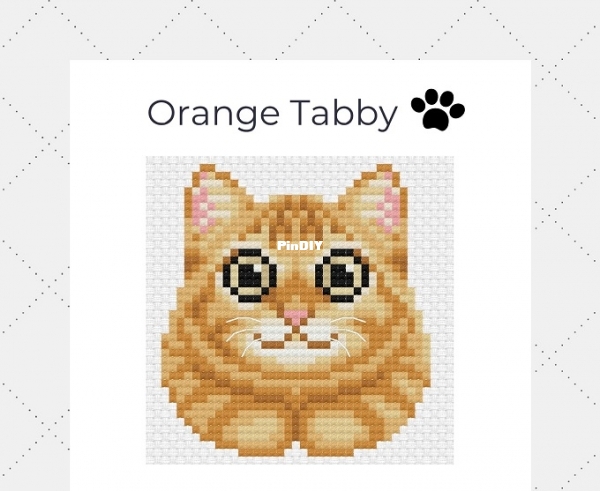 La Selva Design -  Orange Tabby.jpg