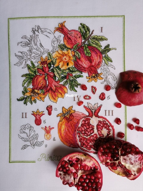 photo1649868784 (5).jpeg