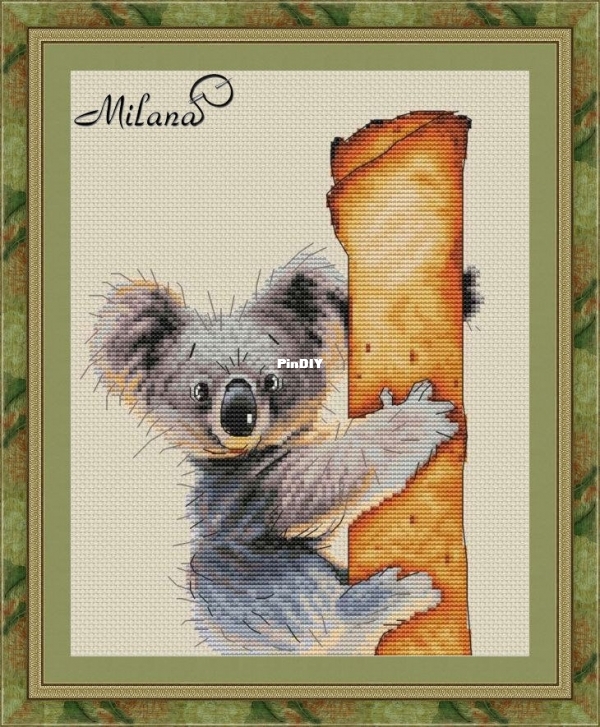 Koala.jpg