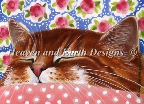 garmashova - qs pink blanket.jpg