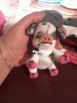 pig 