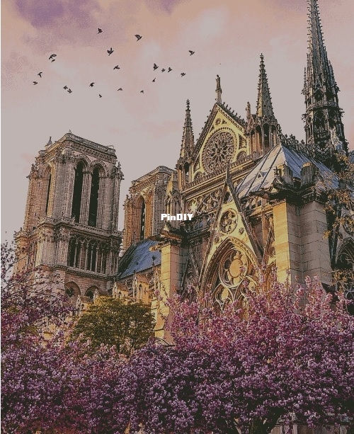 150110237_Notre_Dame.jpg