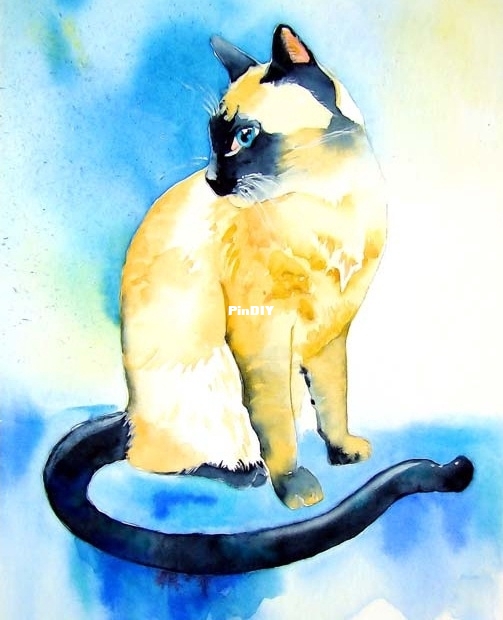lynch - siamese jasmine.jpg