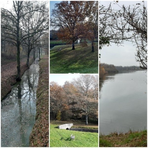 Ponds