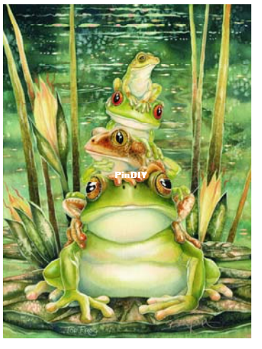 mini frog.png