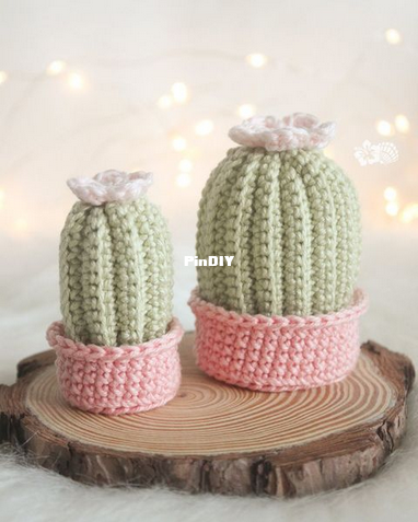 mini cacto 2.png