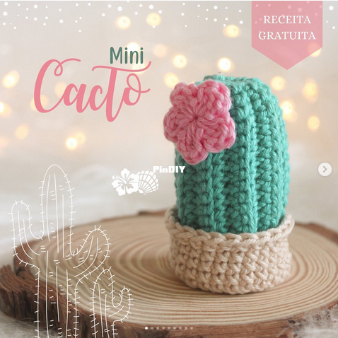 mini cacto.png