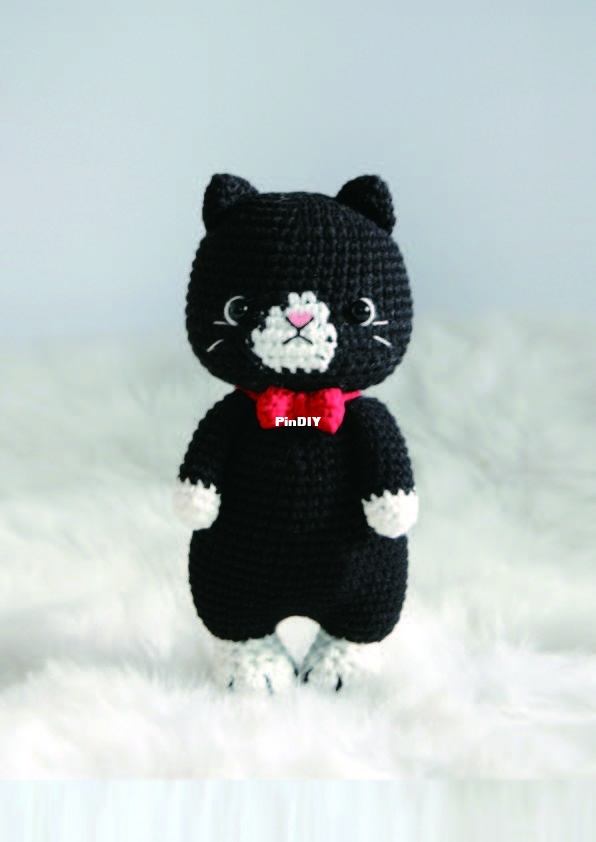 Gato negro.jpg