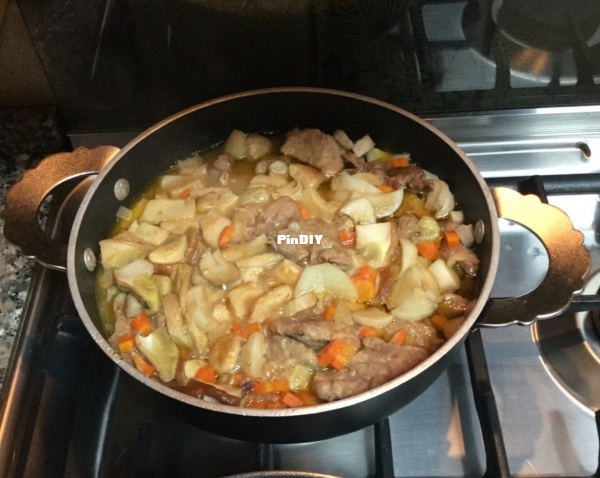 stew with porcini mushrooms