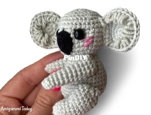000 koala baby 2.jpg