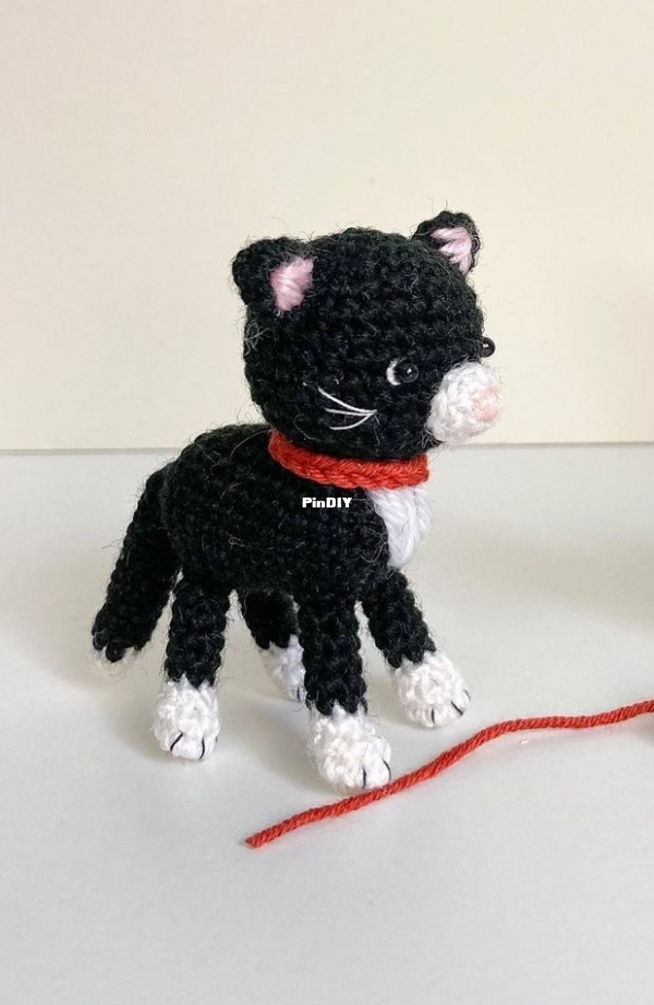 Scandistyle Kitten RU.jpg