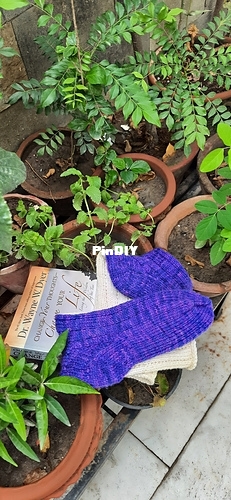 Pic_of_Toe_Up_Strongest_Heel_Socks_medium.jpg