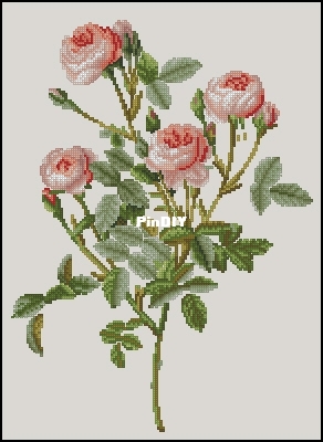 Vintage roses by Lena Averina.jpg