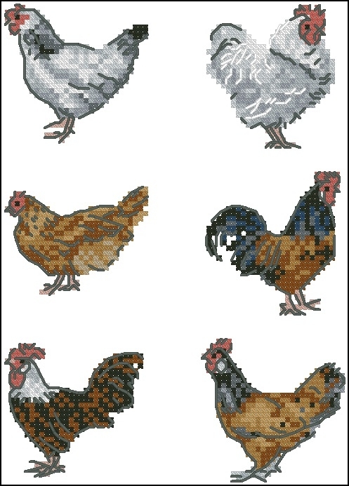Chicken Egg Cosies XSD.jpg