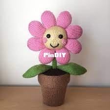 flower in a pot.jpg