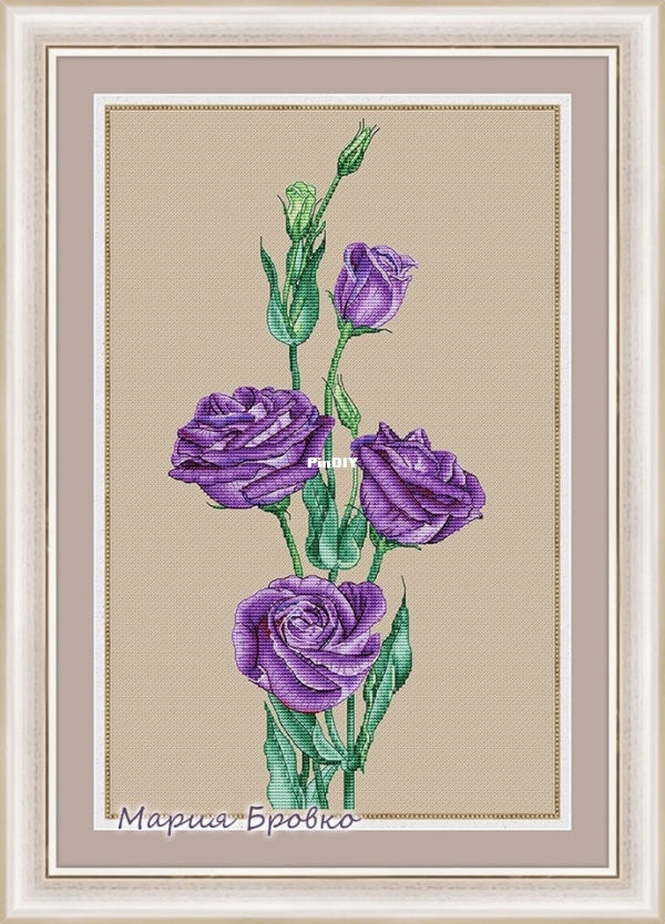 Eustoma.jpg