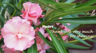 Thank you_July.jpg