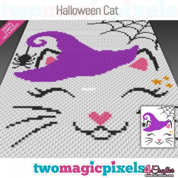 Halloweencat.jpeg
