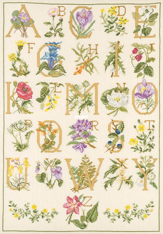 Floral ABC preview.jpg