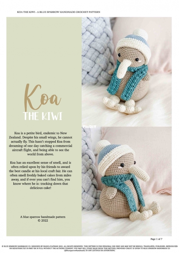 Koa the Kiwi Bird.jpg